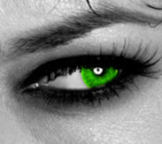 IPad bedrijfsuitje texel