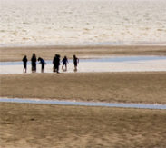Bedrijfsuitjes Texel